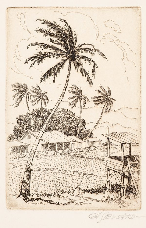 Palm trees stand over a farm field and a house.