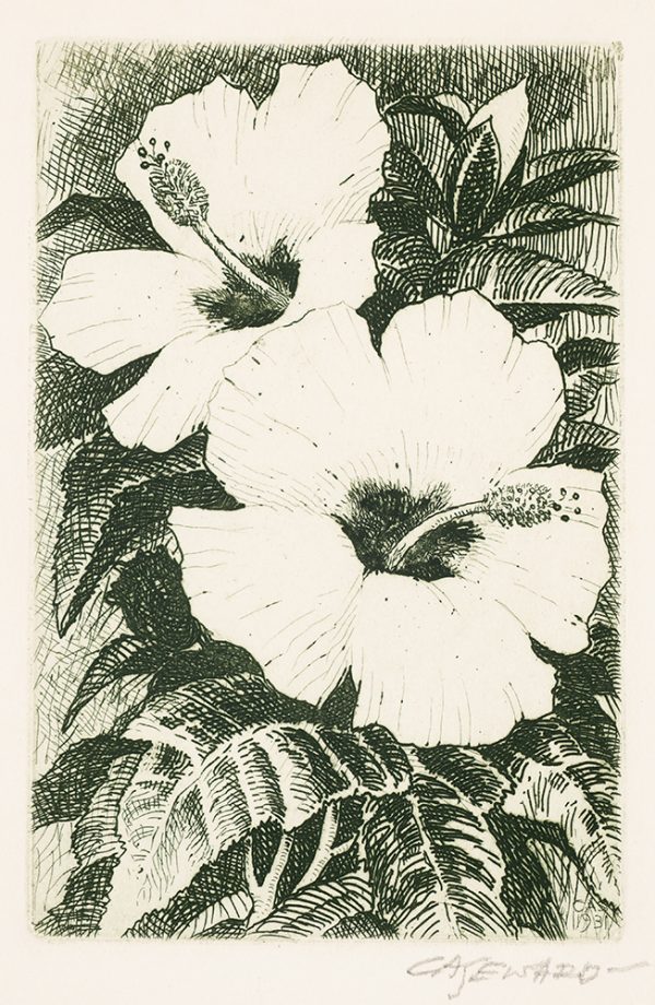 Two hibiscus flowers against foliage.