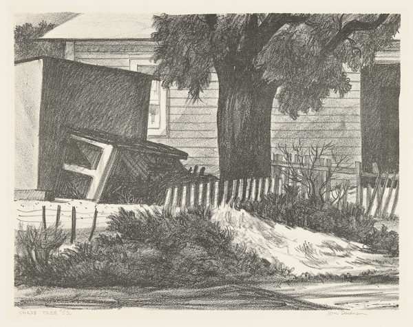 A trunk of a large tree is seen against the side of a house. To the right and in front of the tree is a picket fence. To the left is a shed against which is an out of vertical hutch.