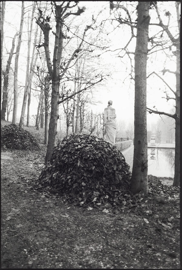 Piles of raked leaves sit between barren trees in a park area with a statue of a woman facing away from viewers with pond to the right.