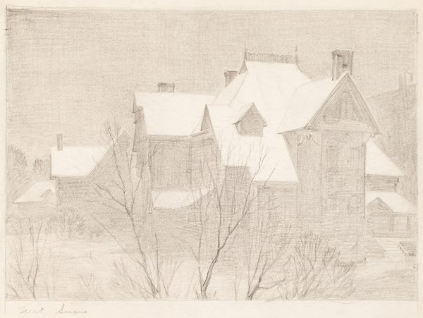 A two-story house with dormer's, and snow on the roof. There are  trees in the foreground. All are slightly hidden in falling snow.