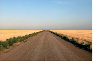 One-point perspective with a flat horizon line. Blue sky, paved road, grass growing along the sides, and wheat fields.