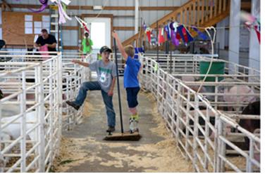 Two boys with their livestock at the county fair.