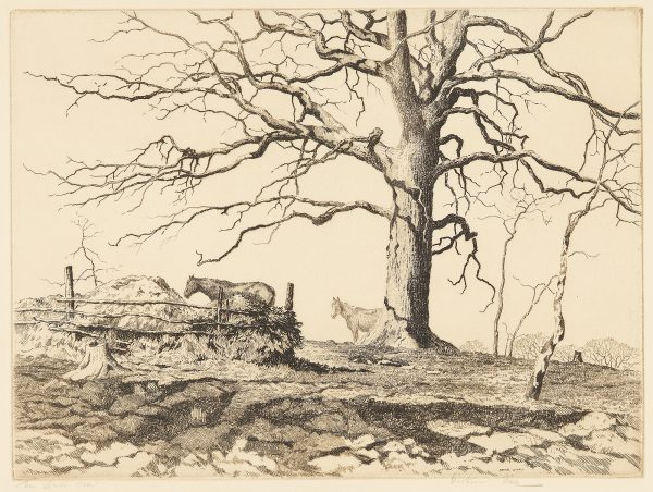 A large leafless tree is seen from a low point of view. several horses are standing below the tree and a log fence circles hay for the horses to eat.