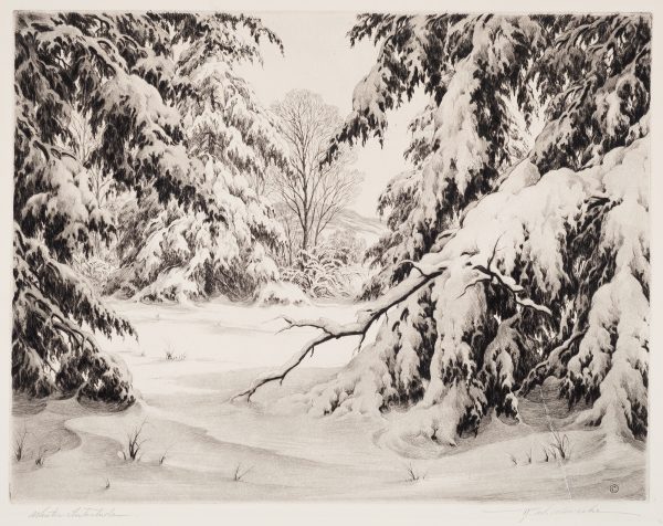 A snowy scene of trees so heavy with snow their branches touch the ground.