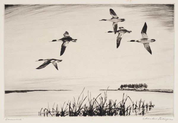 Five geese fly toward the left, with reeds growing at waters edge in the foreground, trees are in the background and water between.