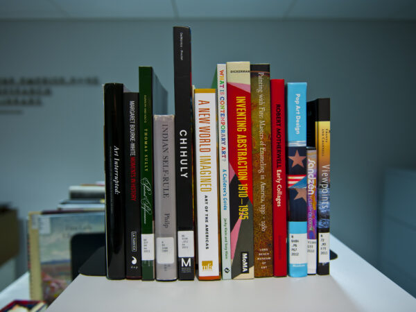 Books of different sizes and colors lined up on a library shelf