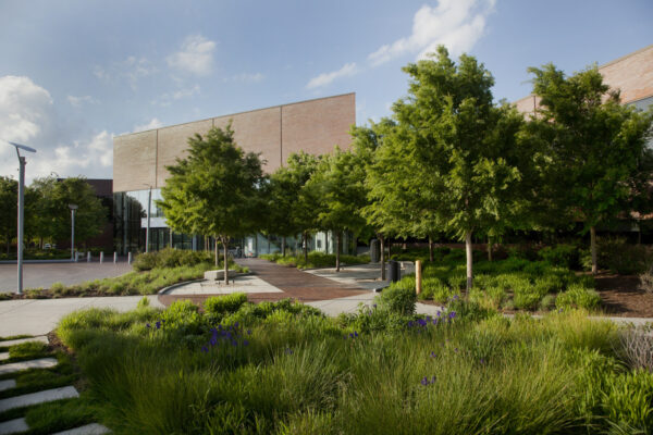 Exterior of WAM's entrance showing five trees, the brick circle drive and native grasses in the foreground