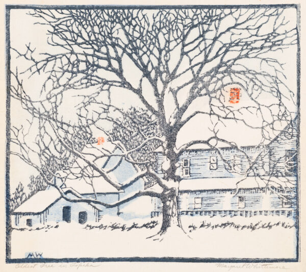 A large tree stands in front of a house and out buildings, in the snow.