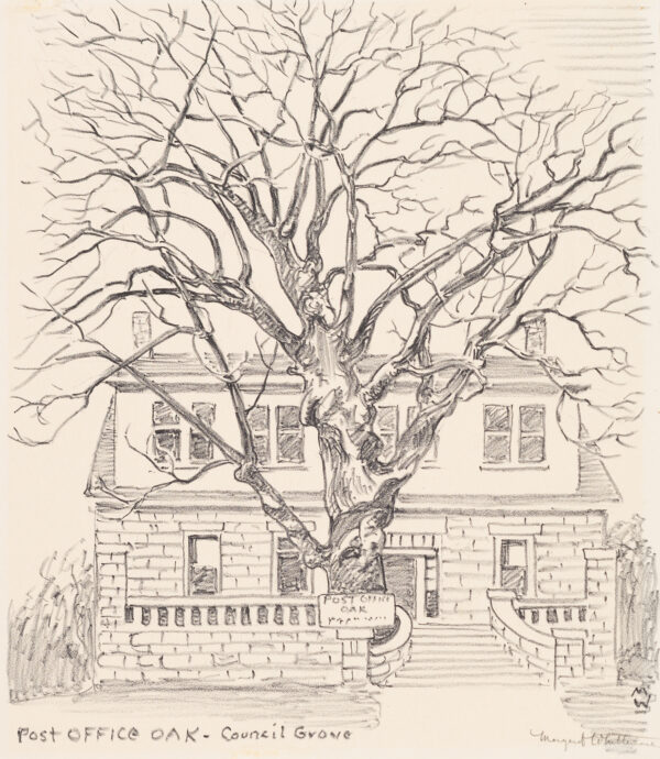 A large tree is in front of a two-story building with stone porch.