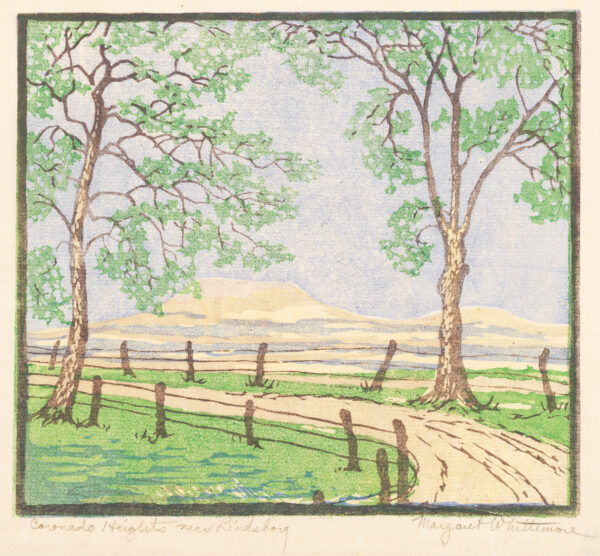 Coronado Heights is the hill in the distance. There is a road with trees in the foreground.