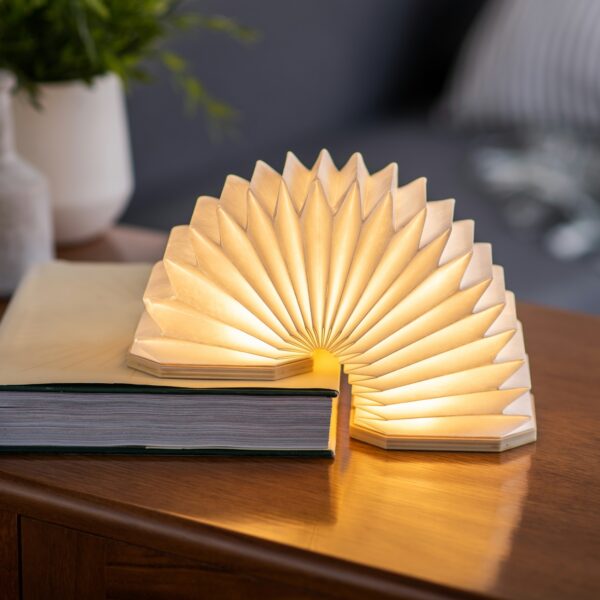 Accordian lamp on a table