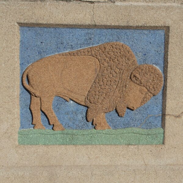 Relief carving of a buffalo, facing to the right, on a sky blue background, standing on a field of green, framed in a square
