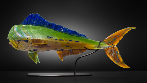 Glass sculpture of a Mahi Mahi fish, facing left, with mouth open. Colors are blue, green and brown
