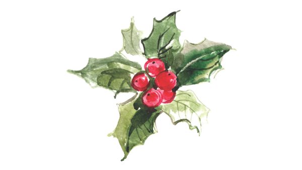Watercolor painting of holly with six green leaves and five red berries