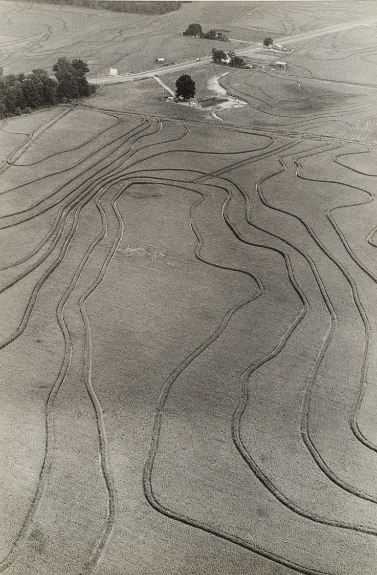rice-fields-arkansas-wichita-art-museum